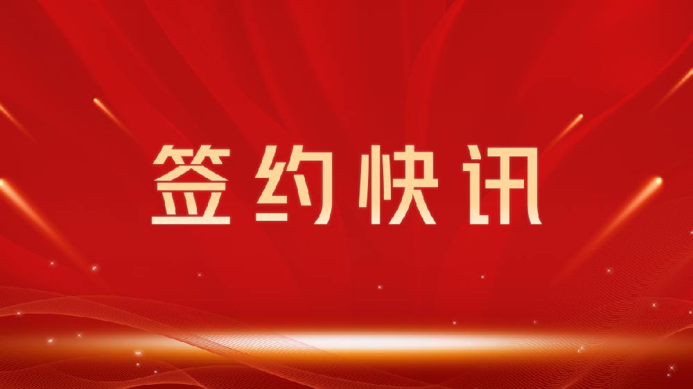 【签约喜讯】助力教育数字化转型，我司与枣庄龙图教育集团达成官网建设合作